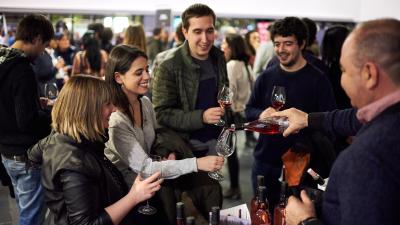Vinofest Navarra